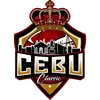 宿务精英